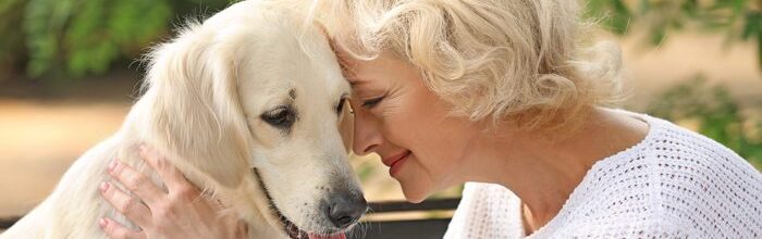 Man’s Best Friend: Guide to Recognizing Dementia in Your Dog 