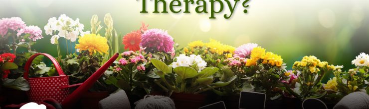 What is Horticulture Therapy? - Ashley Manor Memory Care