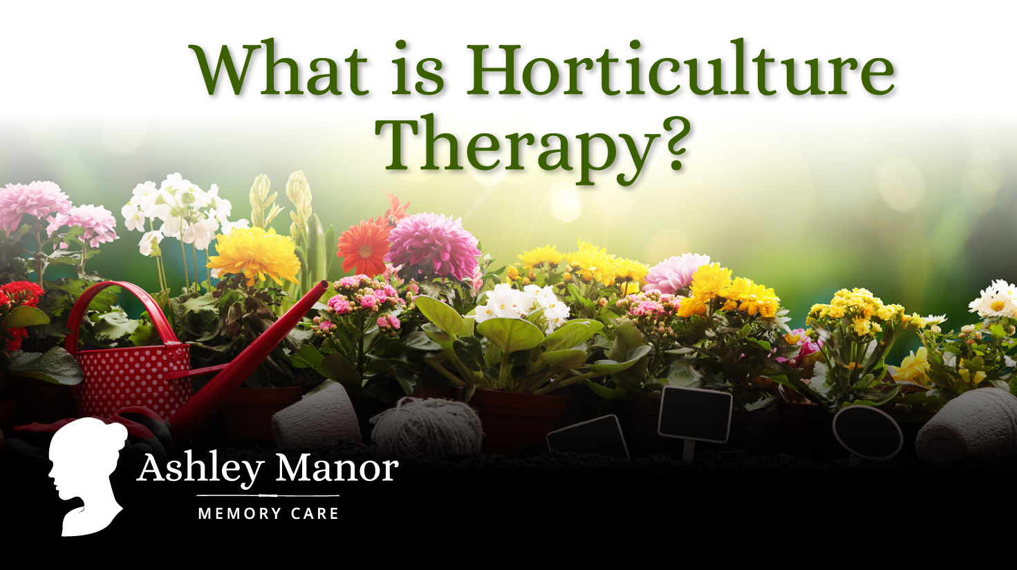 horticultural therapy business plan
