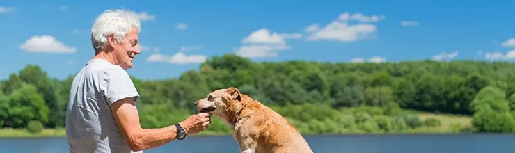 Four Ways Dementia Patients Can Benefit from Pet Therapy