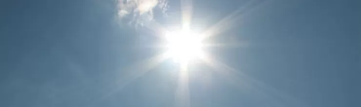 Heat Stress: Symptoms, How to Avoid and What to do if it’s Too Late